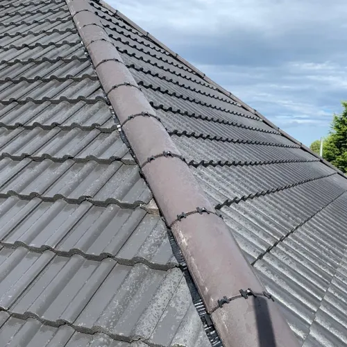 Recent roof project